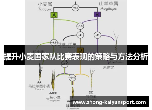 提升小麦国家队比赛表现的策略与方法分析